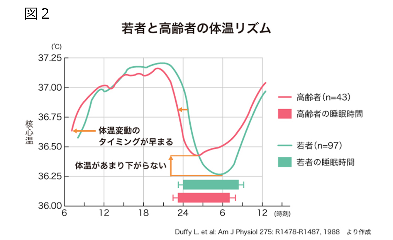 図1 健康な人の1日の体温リズム