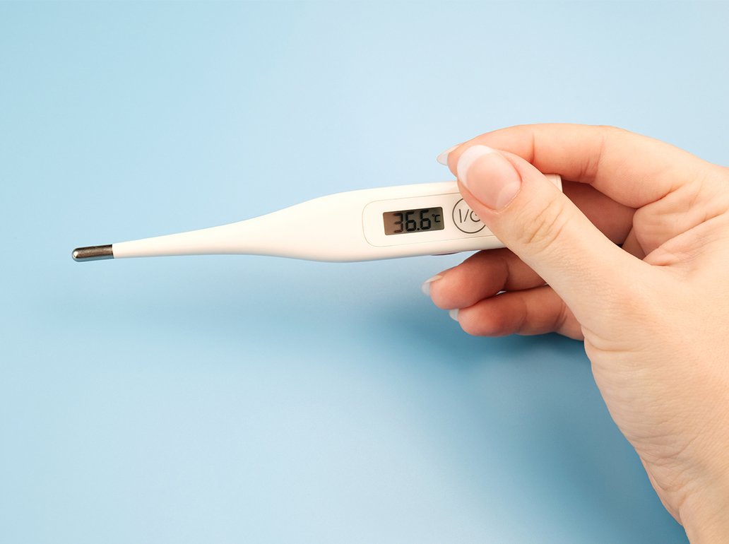 体温ってなあに 正しい体温の測り方 豆知識 体温研究所レポート テルモ体温研究所