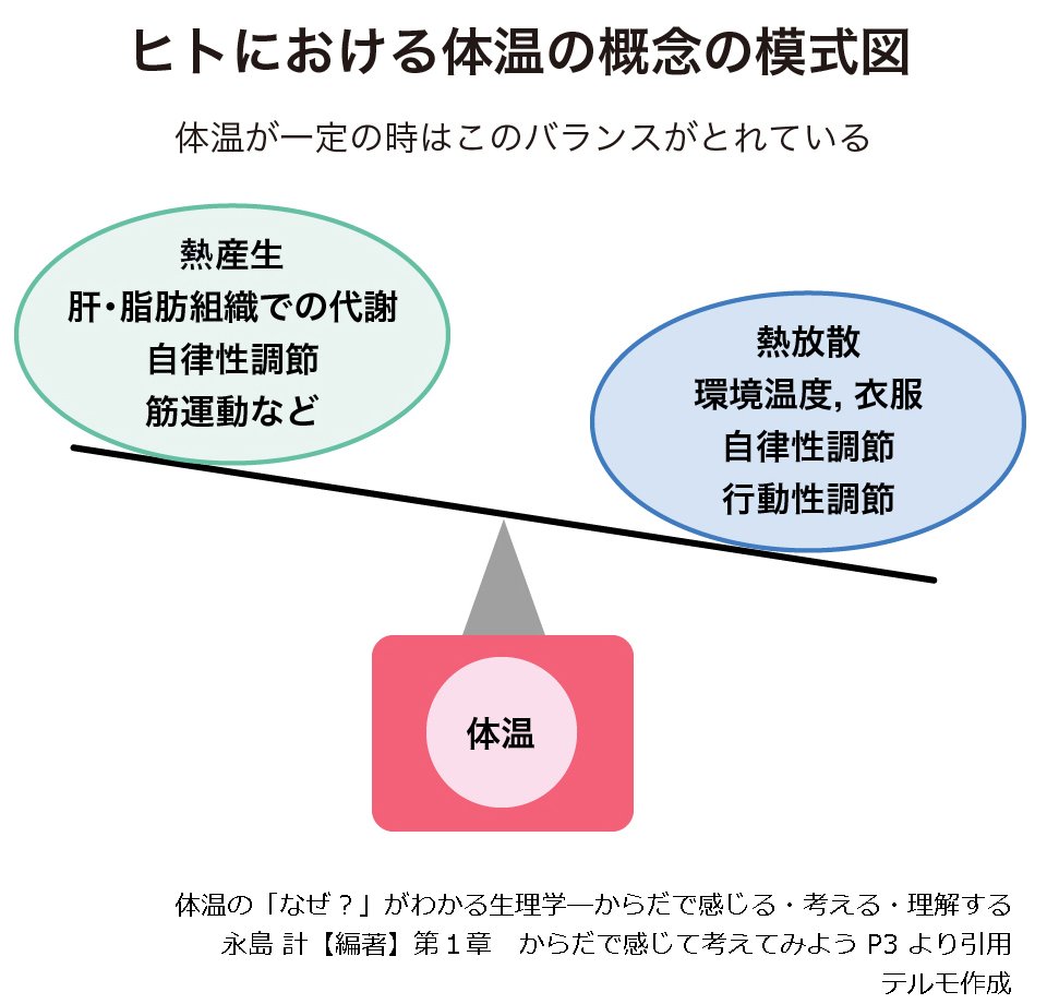 図１　ヒトにおける体温の概念の模式図