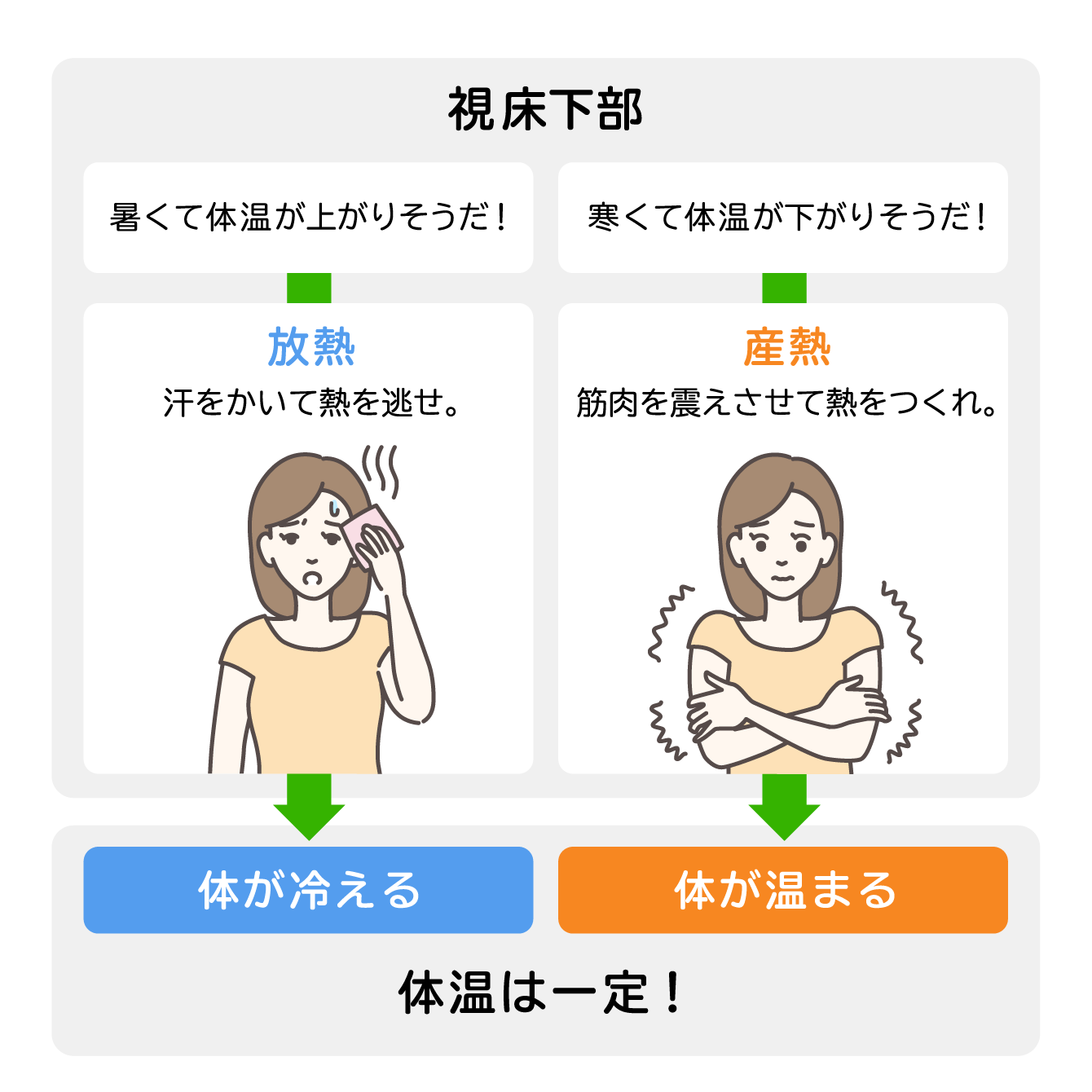 図1　寒さの違いによる脳からの指令の通り道の違い