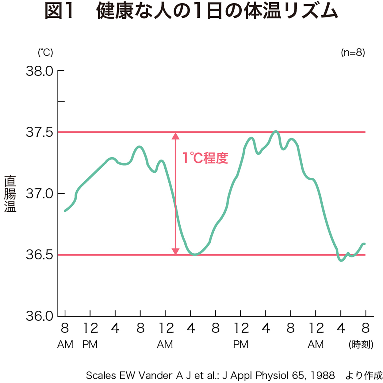 図1　健康な人の1日の体温リズム