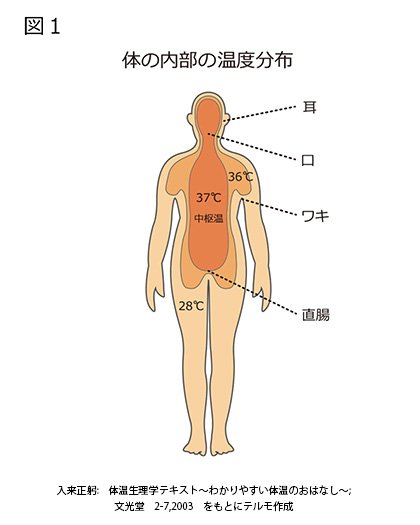 図１　コア温とシェル温