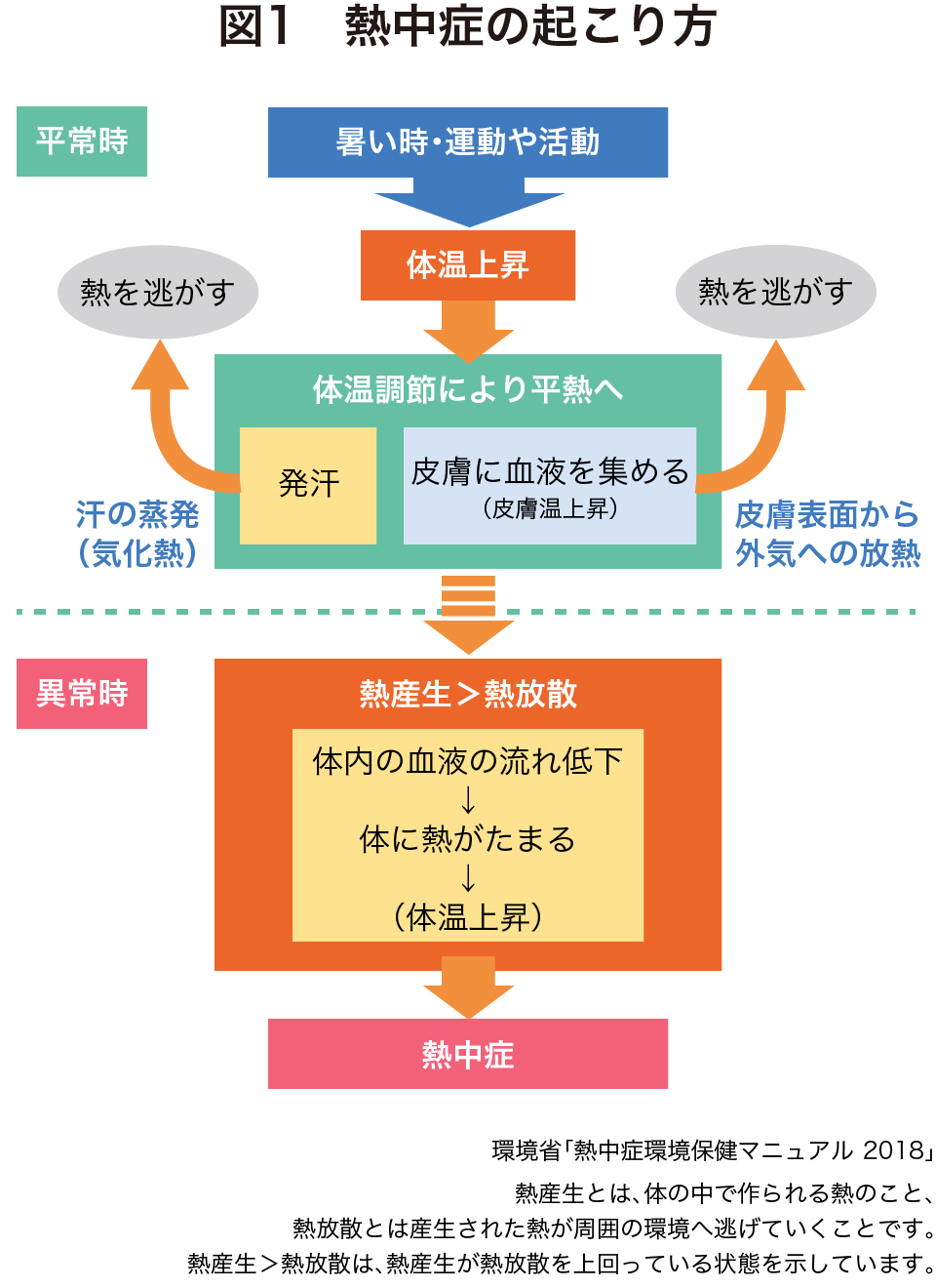 熱中症の起こり方の解説図