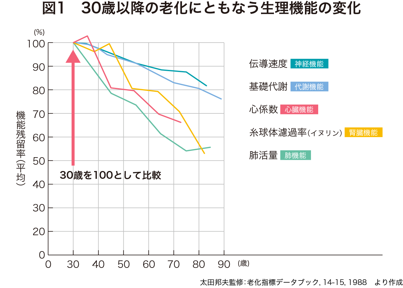 30歳以降の老化にともなう生理機能の変化の折れ線グラフ