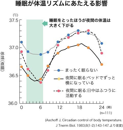 睡眠が体温リズムにあたえる影響の折れ線グラフ