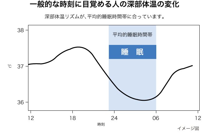 一般的な時刻に目覚める人の深部体温の変化のグラフ
