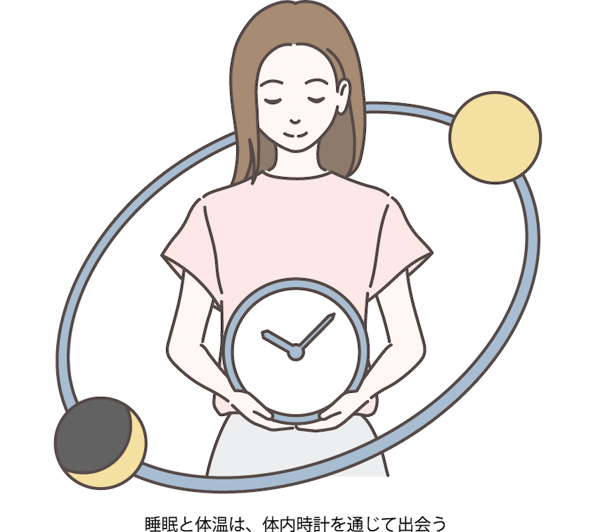 睡眠と体温は、体内時計を通じて出会う