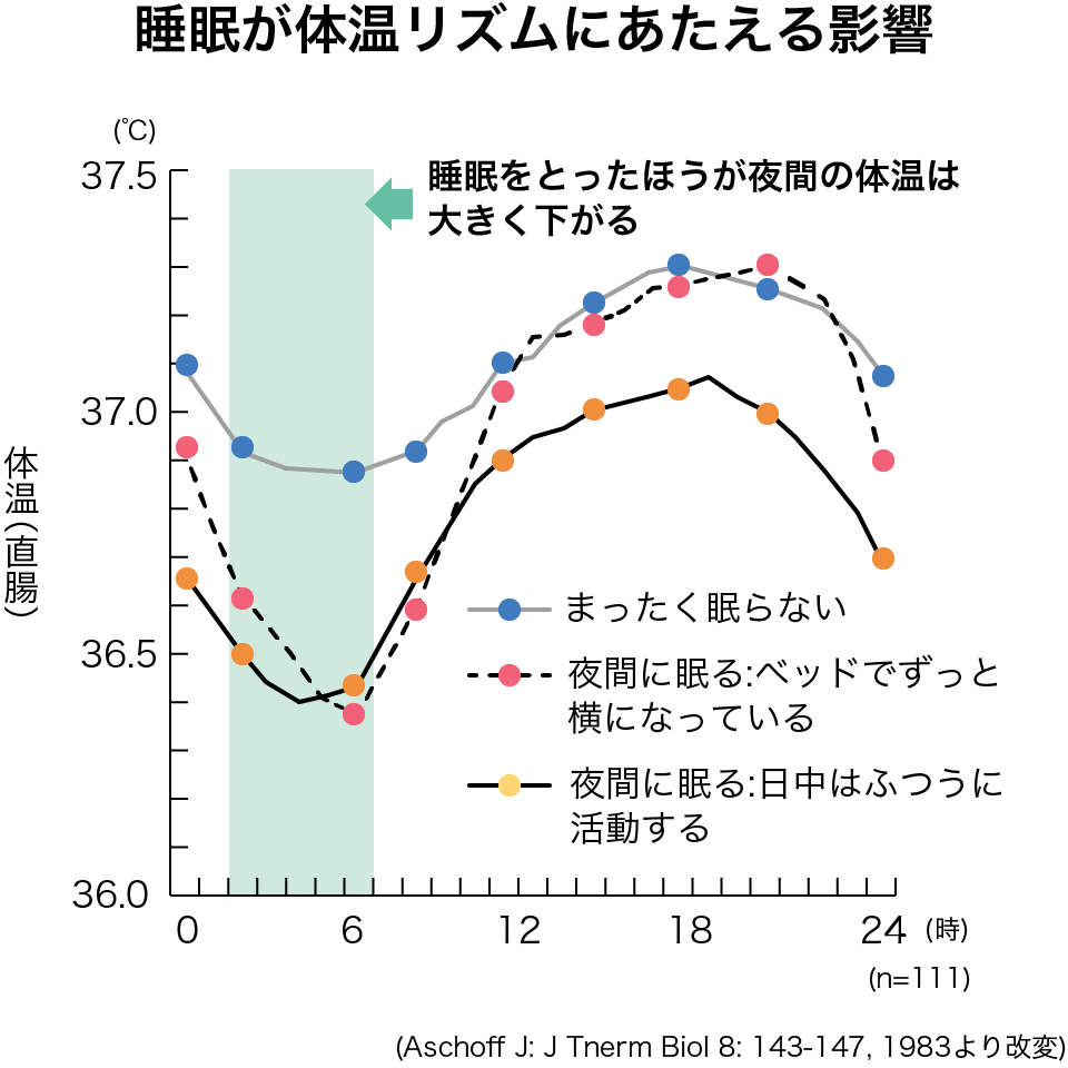 睡眠と体温 睡眠と体温 体温と健康 テルモ体温研究所