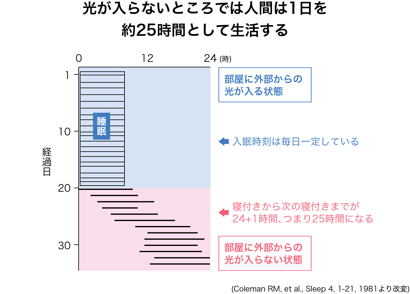光が入らないところでは人間は一日を約25時間として生活する。光が入る状態と入らない状態の睡眠の比較図