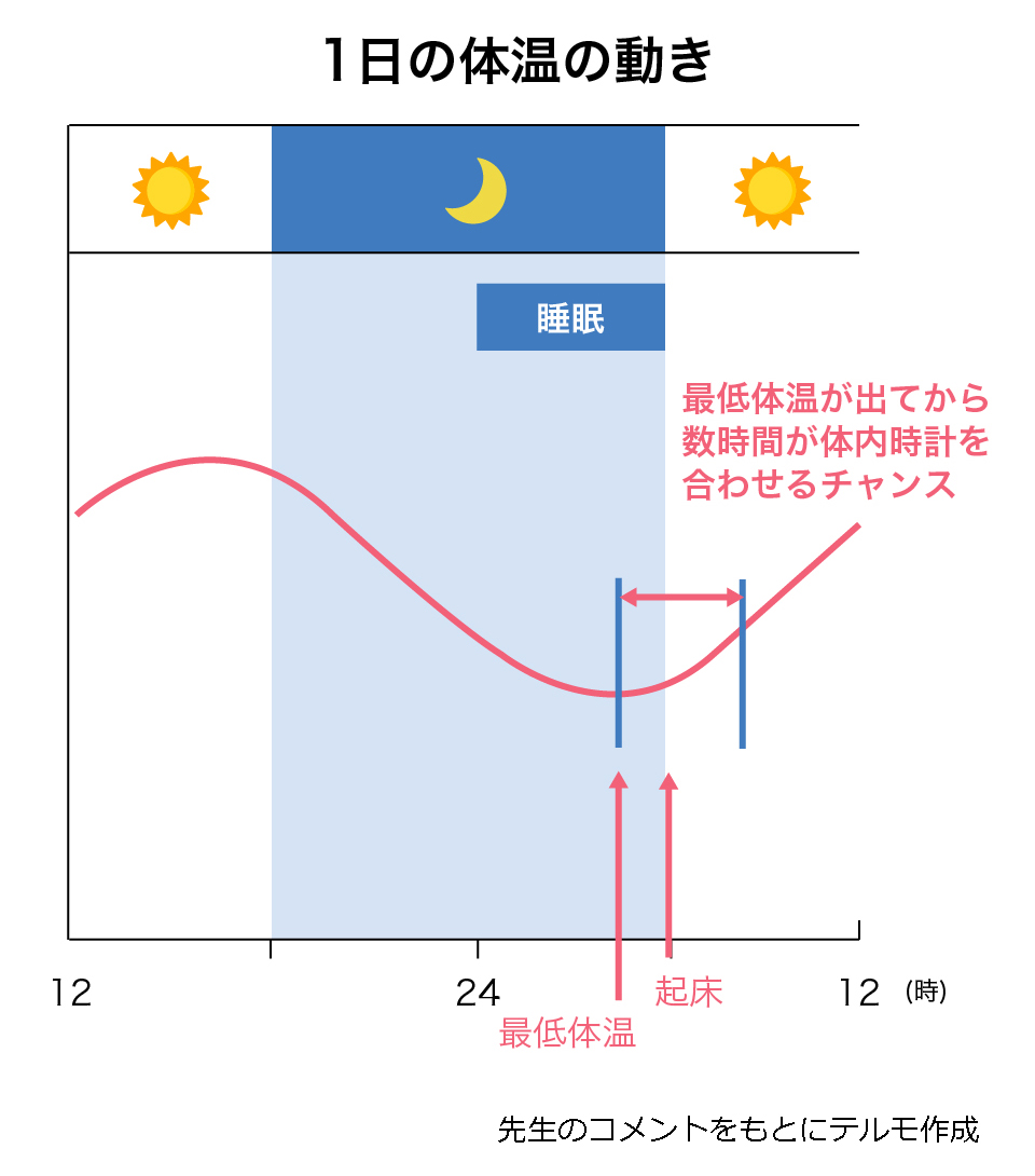 １日の体温の動きを表したイメージ図