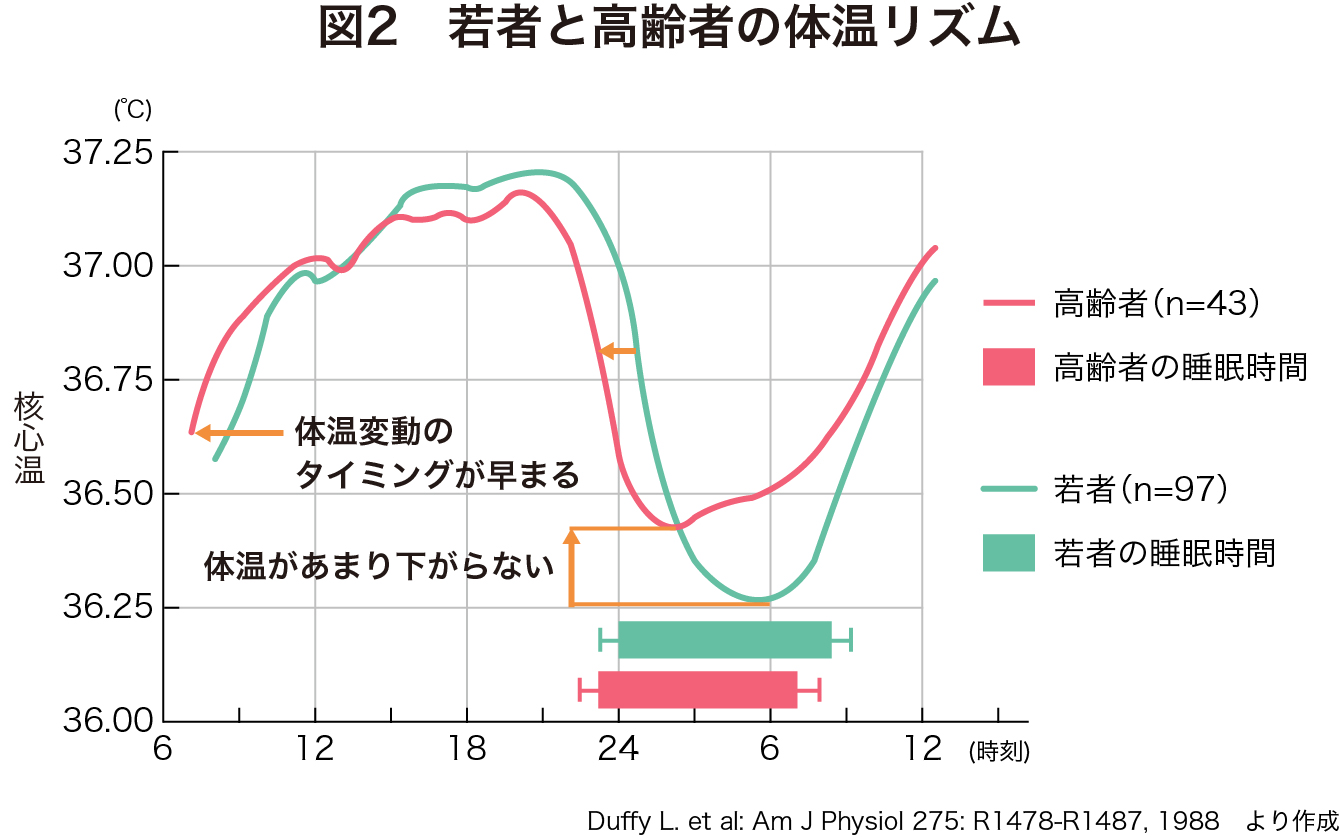 若者と高齢者の体温リズムのイメージ図